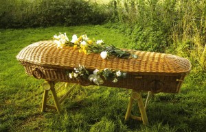 green burial willow coffin