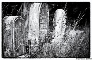 Pithy Epitaphs Tombstones