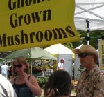 Mushroom Market at the Farmers Market