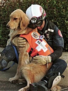 Utah Rescue Dogs