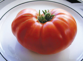 How to Supersize Your Tomatoes
