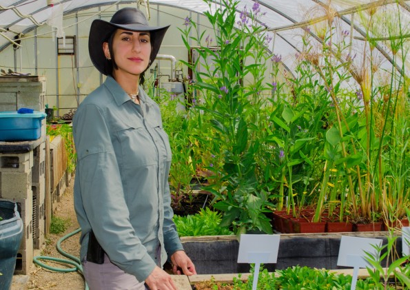 Desert Water Garden Manager Sheida Hajarian in her greenhouse