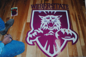 weber state symbol