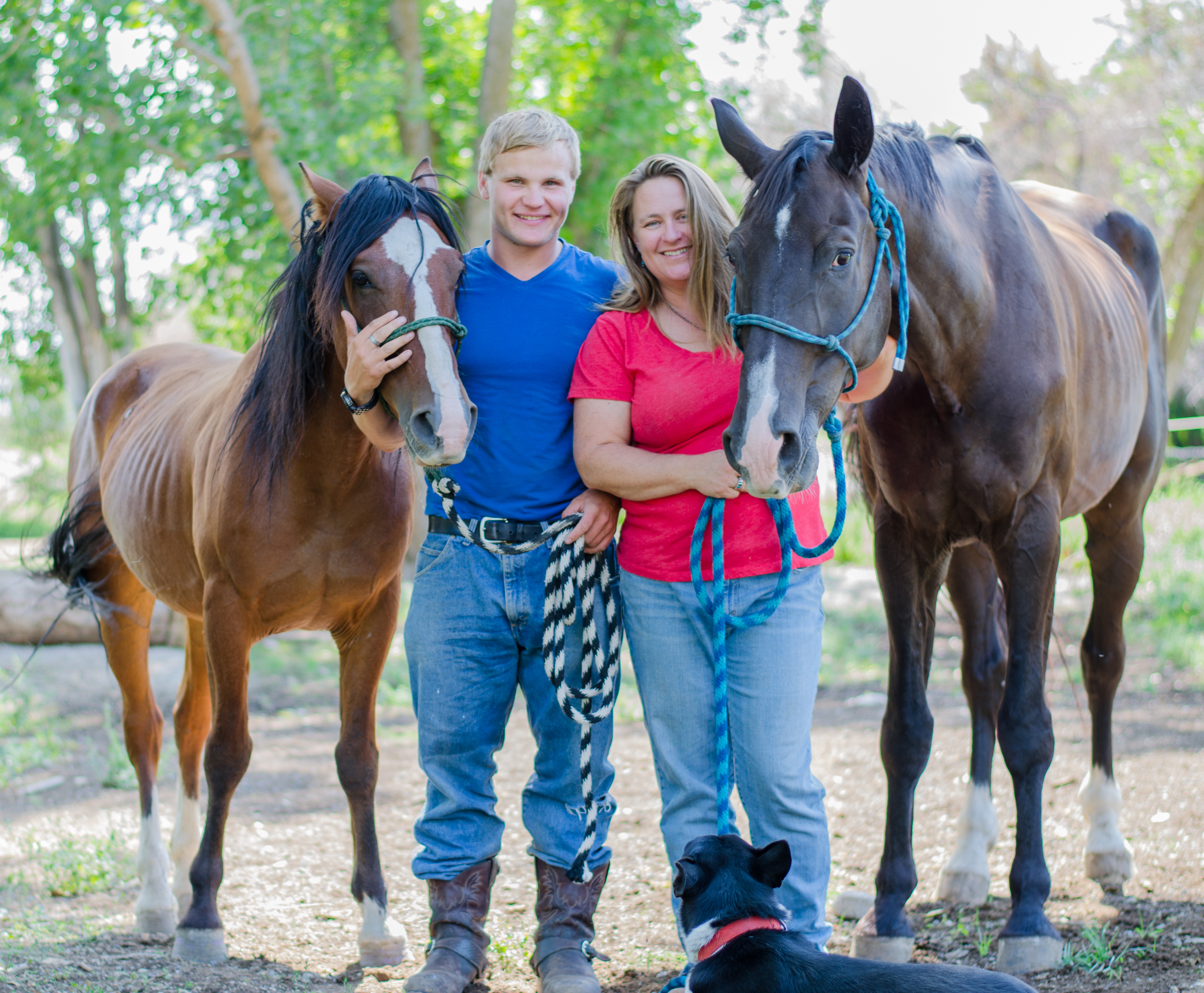 The Stable Place – Healing for Horses and People