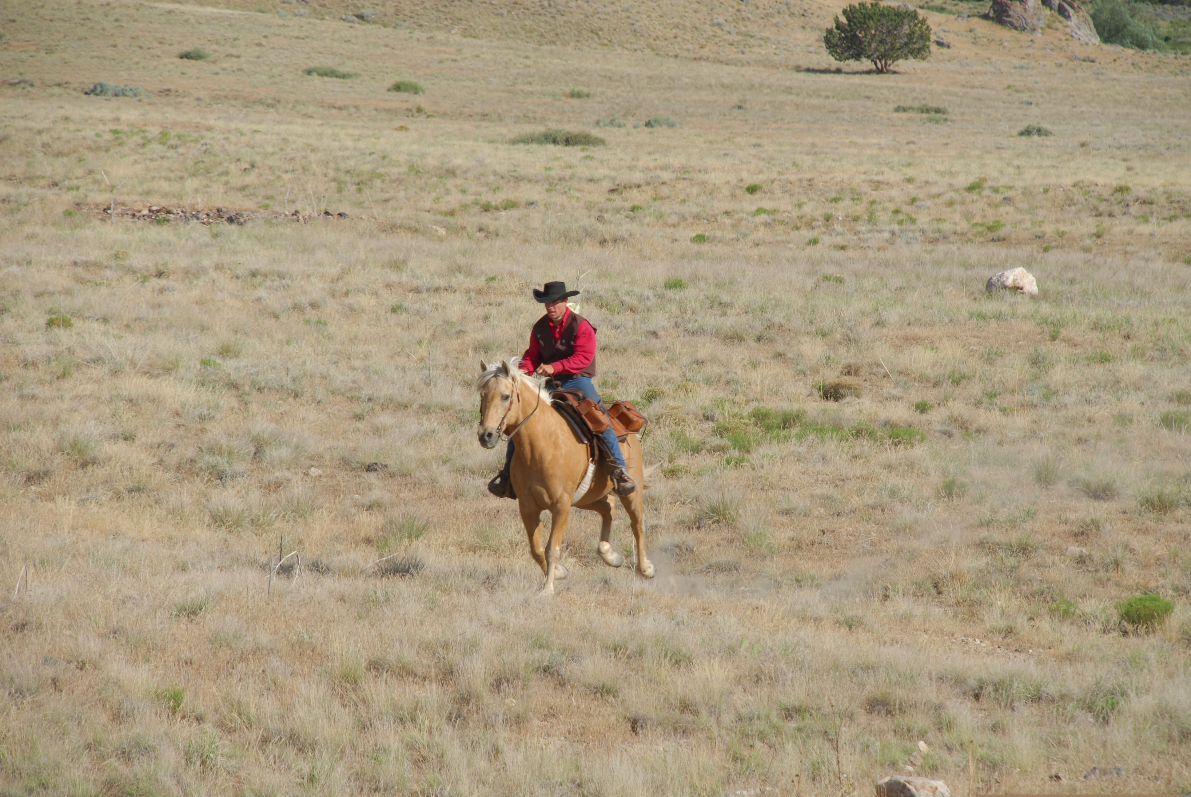 Wild West Pony Express