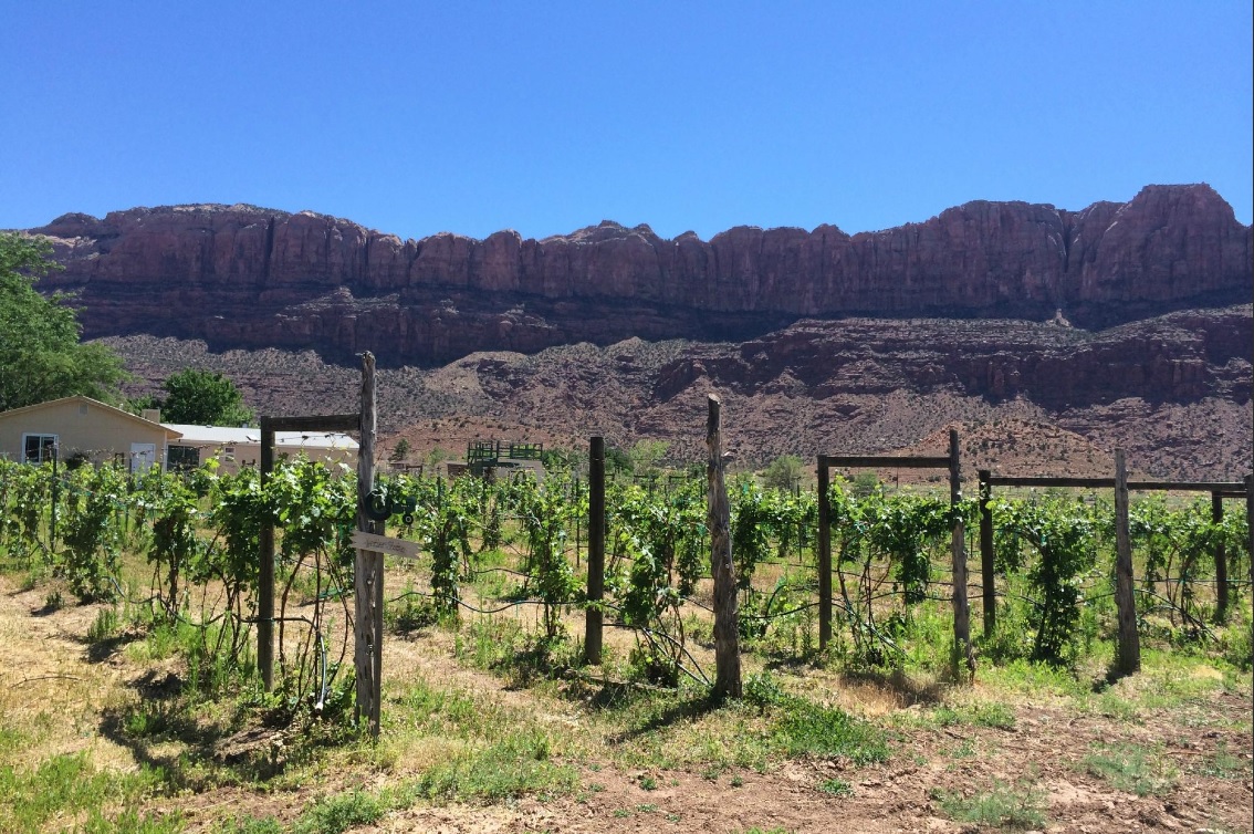Spanish Valley Vineyards of Moab