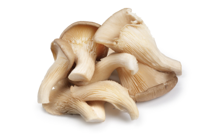 Oyster_Mushrooms__70076