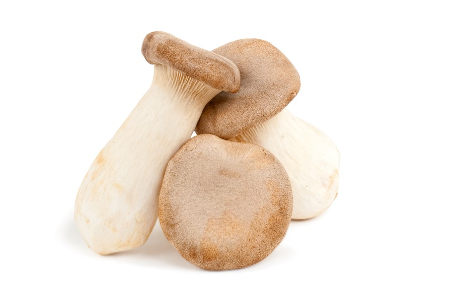How to Grow Mushrooms From Home
