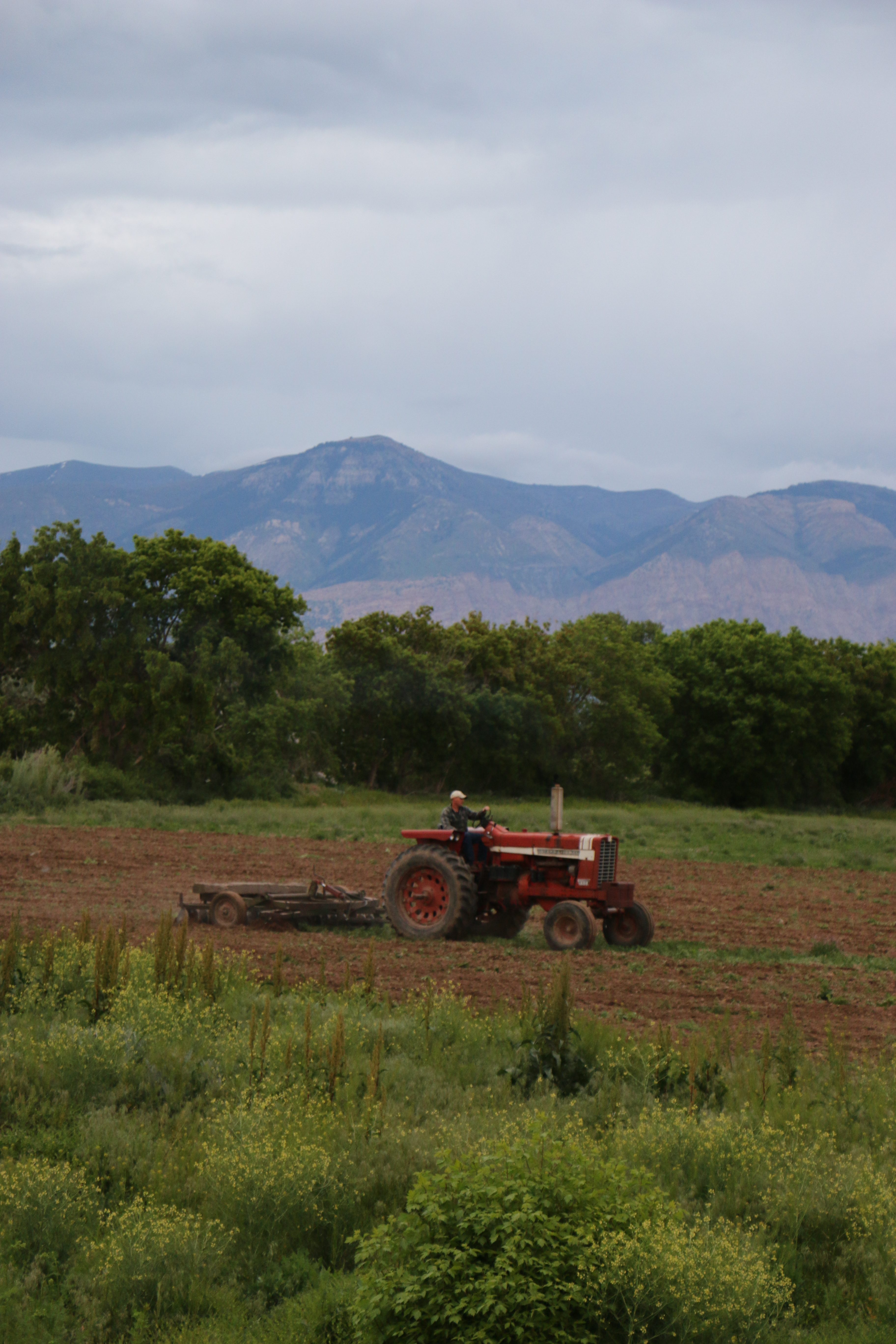 8 Agricultural Problems and Utah Farms with Solutions