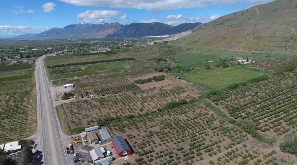 Tagge farm in Perry Utah drone view