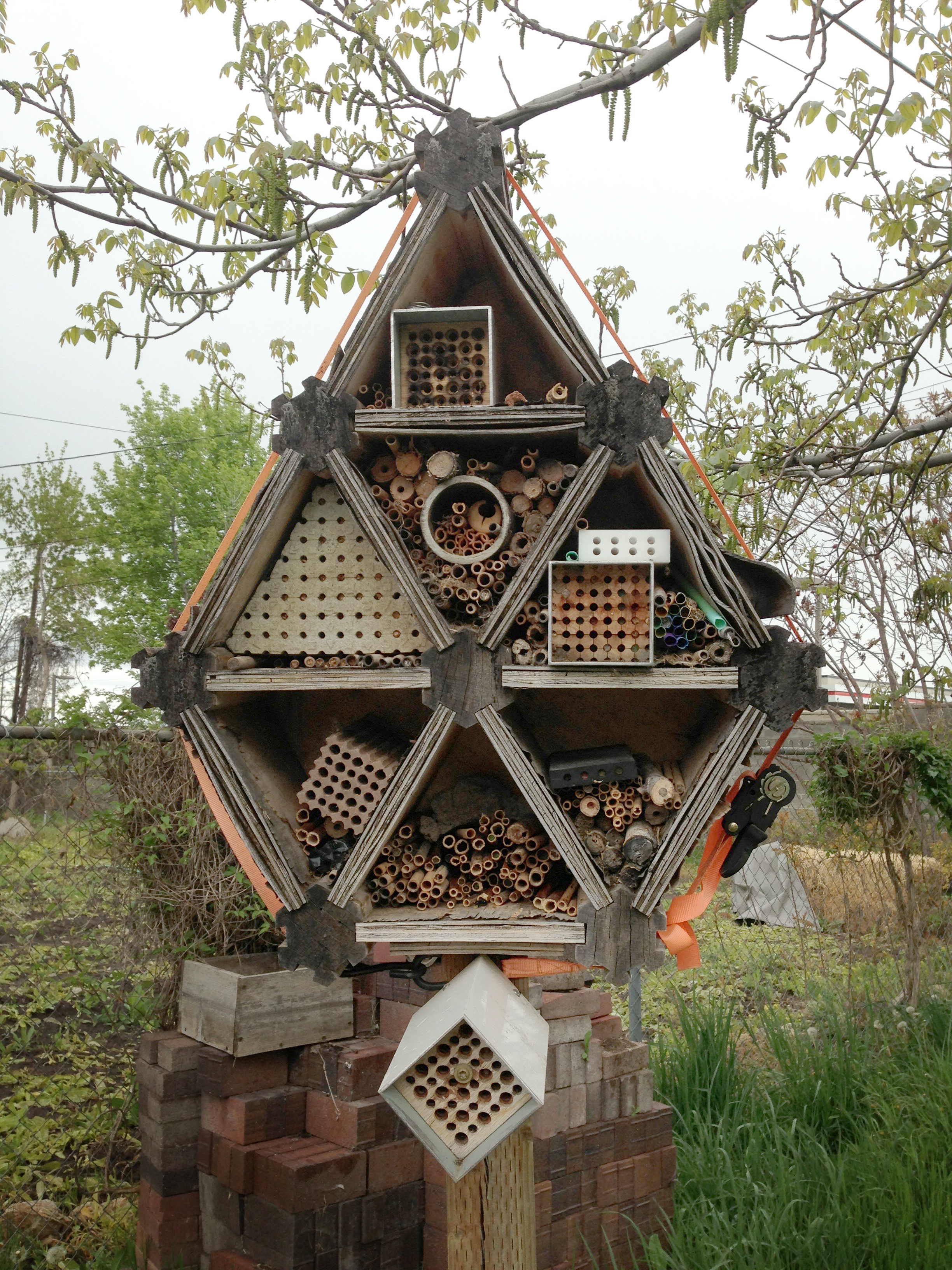 Plastic Homes for Mason Bees