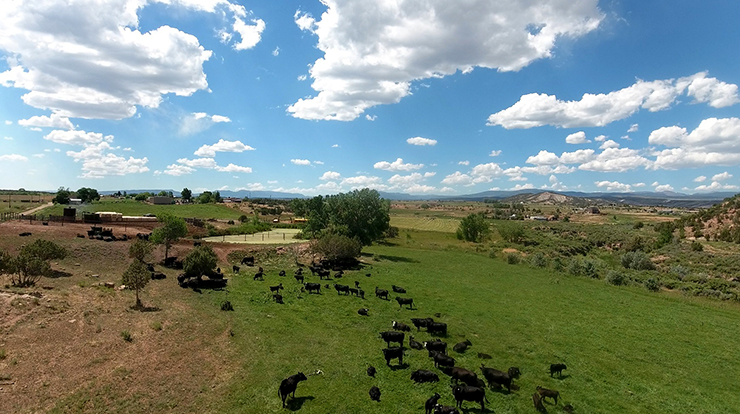 Can Utah family farms thrive despite population growth?