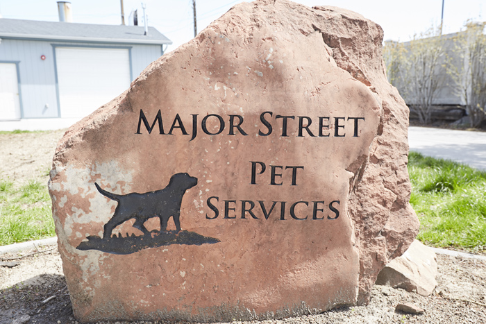 Major Street Pet Services Offers End of Life Planning for Your Pet