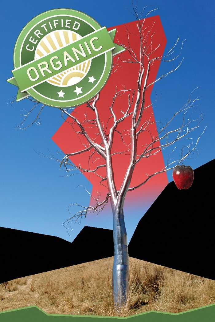 Is “Certified Organic” Worth the Price?