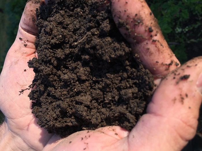 The World Beneath Our Feet: Organic Soil Supports a Rich Mix of Life