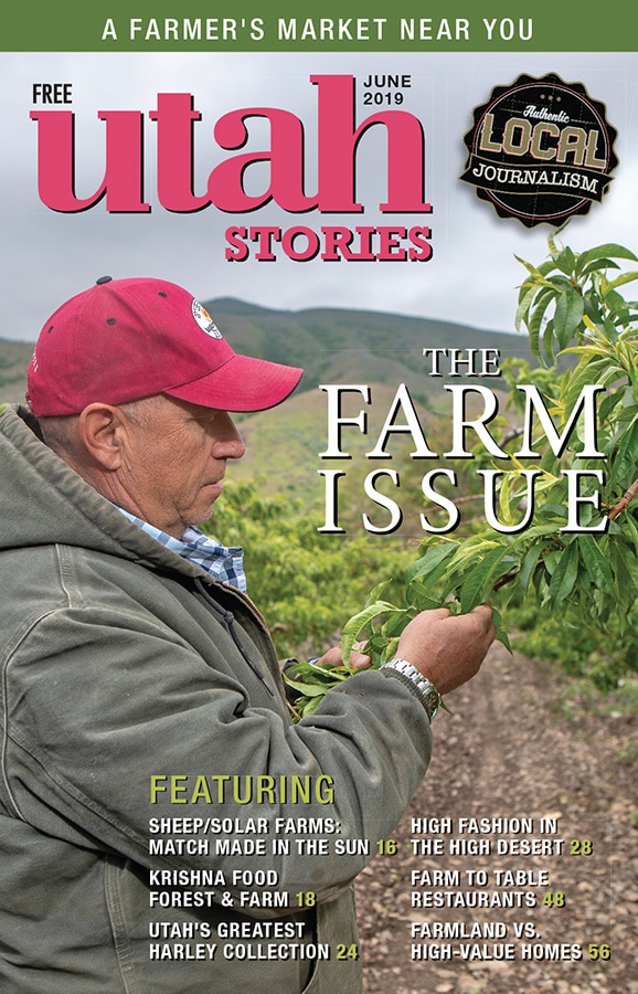 The Farm issue—Letter from the editor
