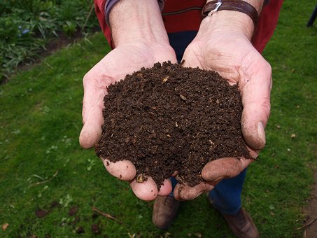 Fertile soil, the Soil Food Web, and High Desert Soilworks