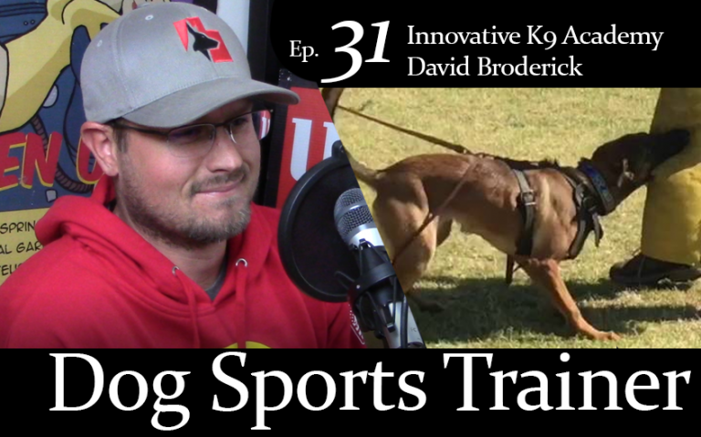 David Broderick Protection Sport: Importance of Mental Engagement in Dog Training