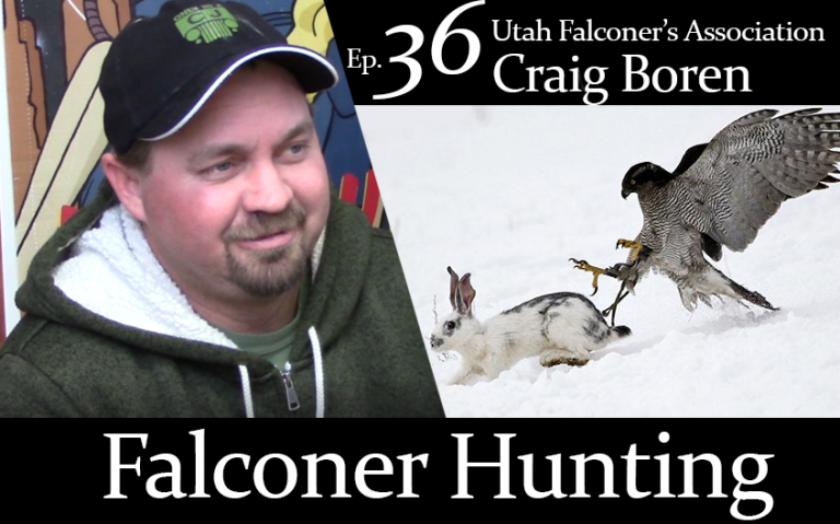 Utah’s True Beastmaster: Meet Falconer Craig Boren