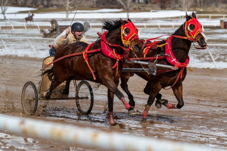 And They’re Off! Chariot Races in Ogden