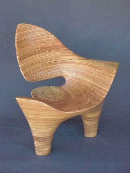 Sculptured Chair by David Delthony.