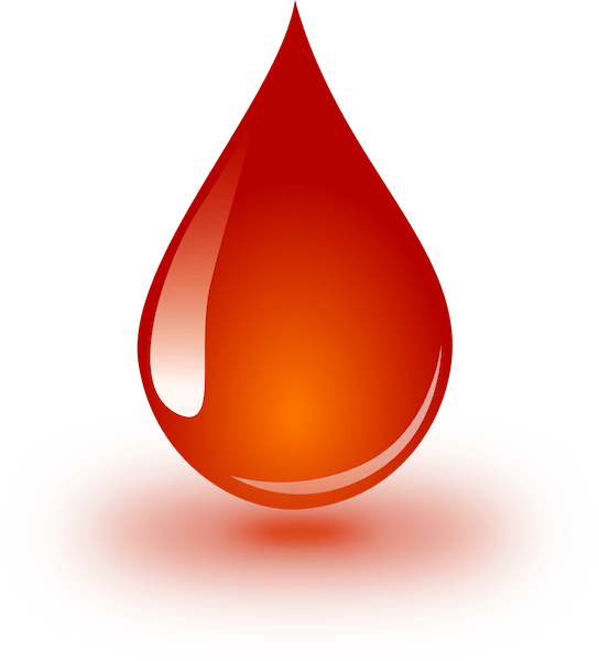 The American Red Cross is Hosting a Blood Drive in Provo