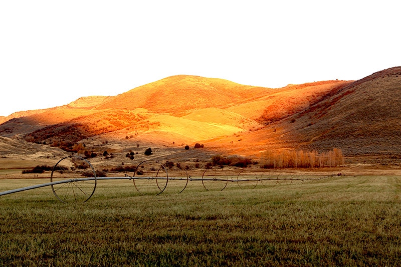 Bulldozing Utah Farms For Vacation Condos: Is this what progress looks like?