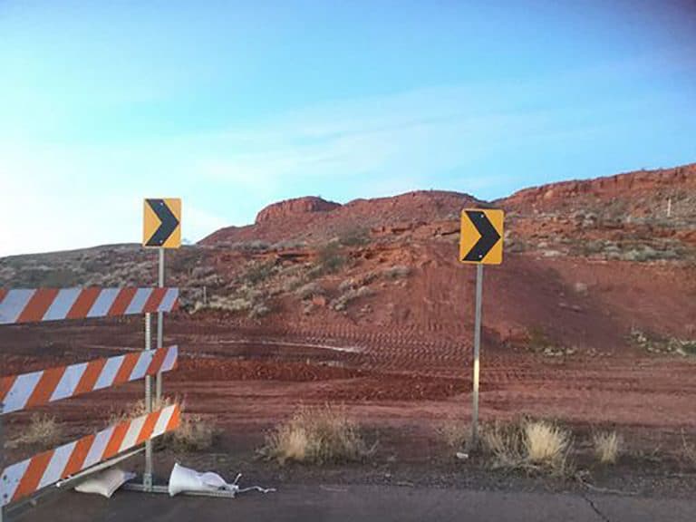 Construction of Northern Corridor Highway Threatens to Decimate Iconic Mojave Desert Tortoises 