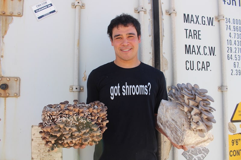 Shroom Boom: Ogden Mushroom Farm Brings Colorful Fungi to Utah