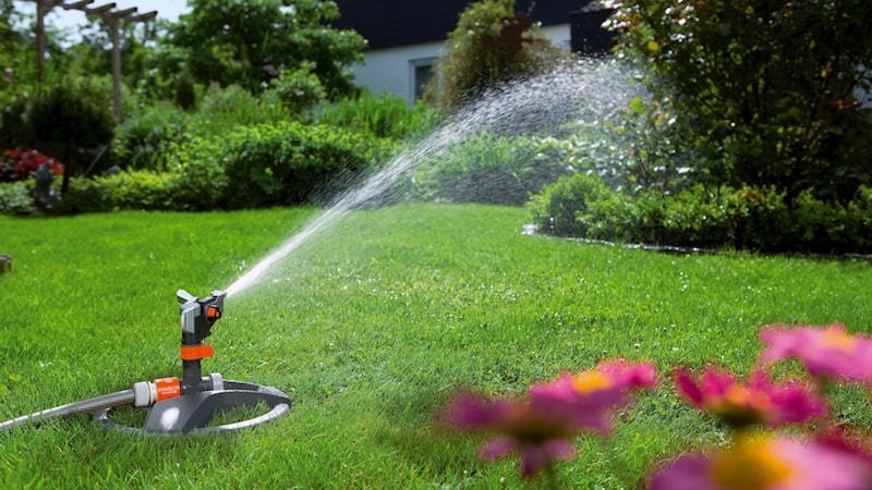 CHEMICAL REACTION: How Our Green Lawns are Hurting Us