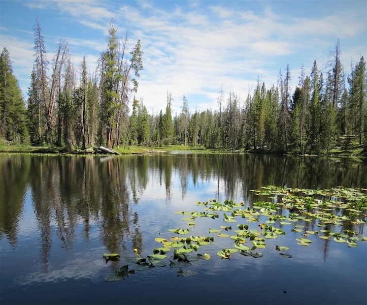 The Top Five Lakes in the High Uinta Mountains to Visit