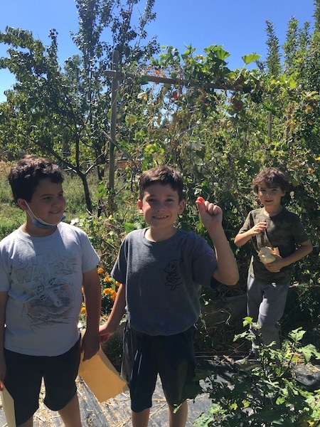 Mount Olympus Community Garden Serves as a Classroom for Kids