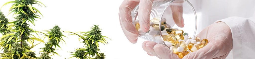 What Does CBD Oil Taste Like and Are CBD Capsules a Solution?