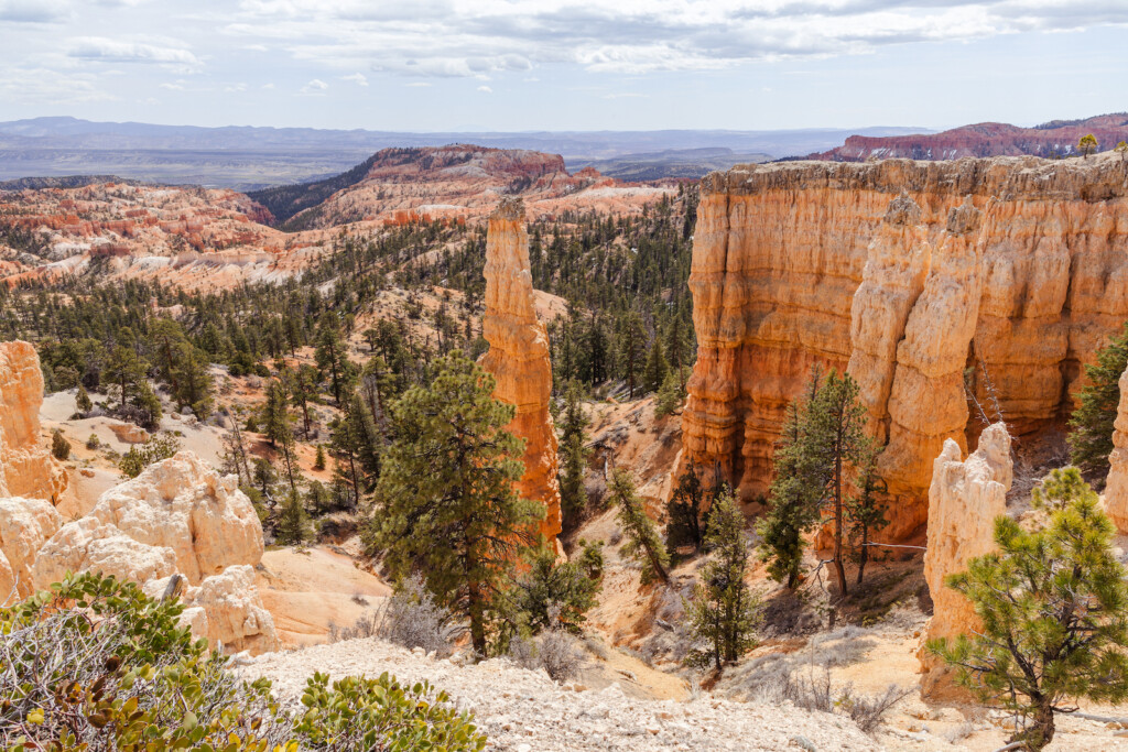 Experience the Joy of Discovering Utah