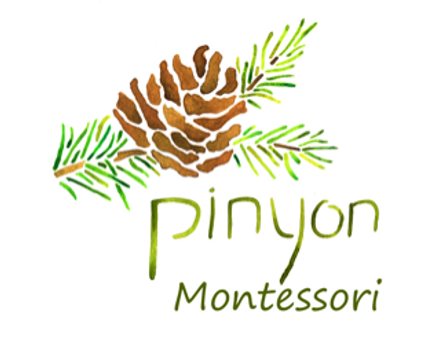 Pinyon Montessori Wants To Provide A School For Anyone and Everyone