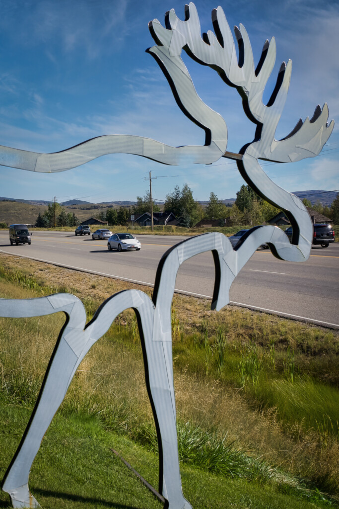 Endangering Wildlife to Widen a State Road to Park City