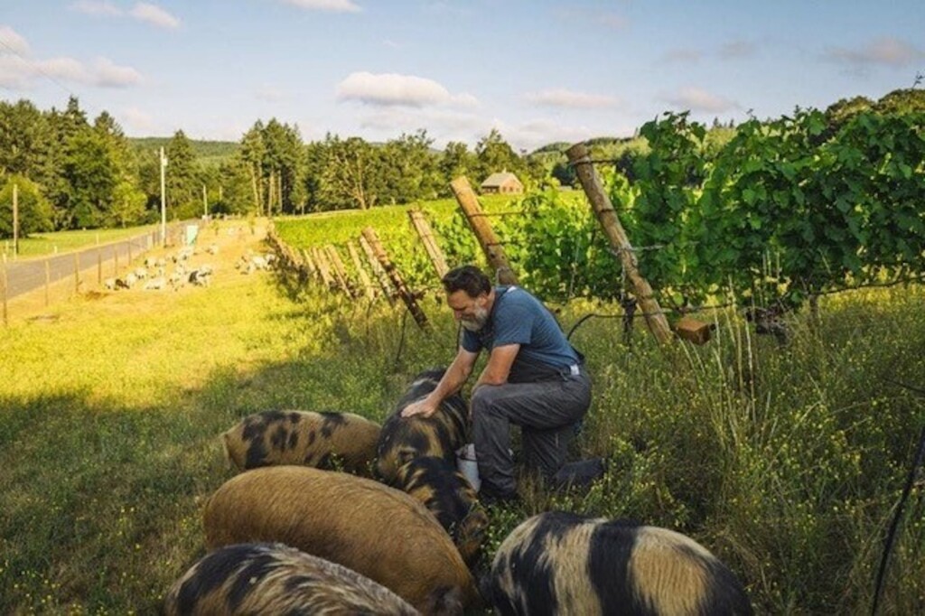 Farm Wine Dinner at Tupelo, Easter Brunch at Franck’s, La Colombe Coffee Lounge