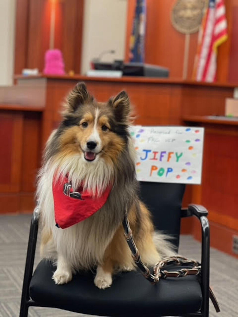 Therapy Dogs Taking Over Salt Lake’s Courtrooms
