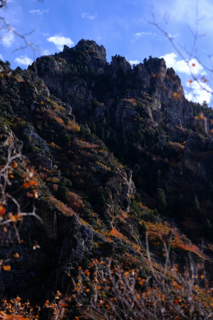 Will Utahns Still Have Access to Millcreek Canyon? Utah Stories Top 5 4/5/24