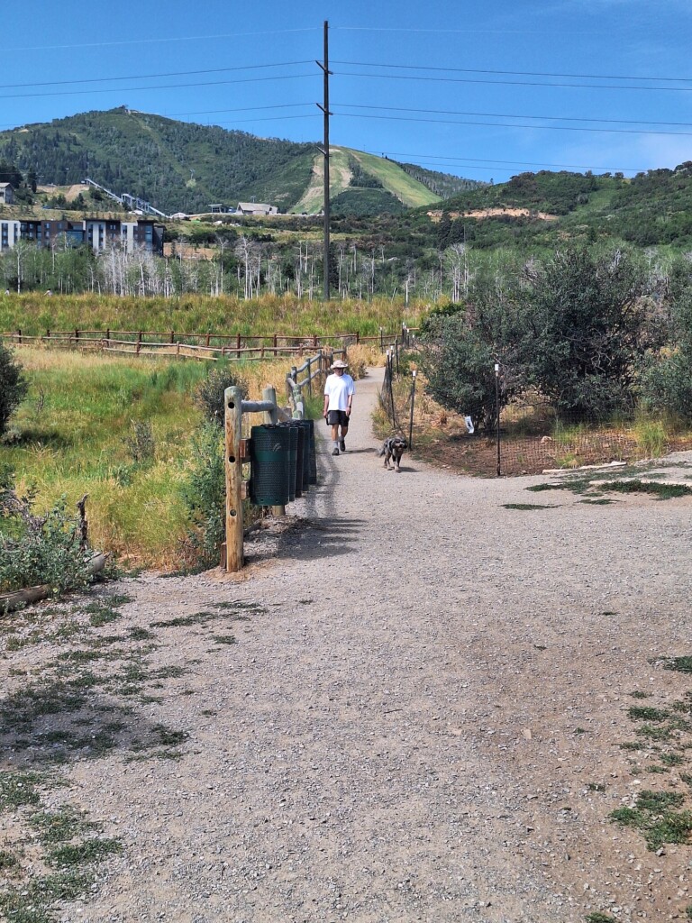 Run-A-Muk Dog Park and Trail: The Perfect Family Adventure in Park City