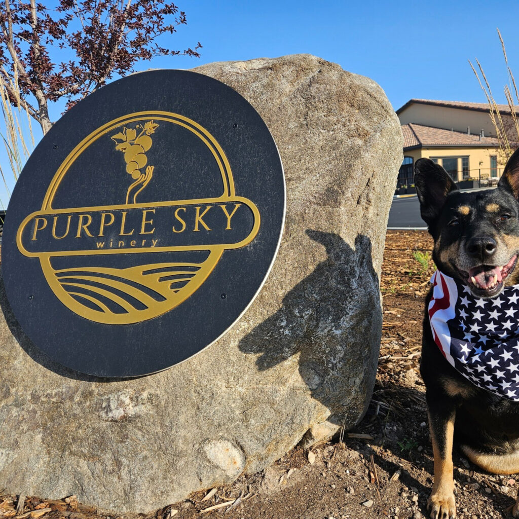 Purple Sky Winery Opens in Pleasant View With Posh Restaurant and Bar