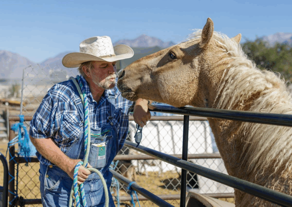 Utah Farm Animal Rescue: Sixteen Years of Saving Abused Animals