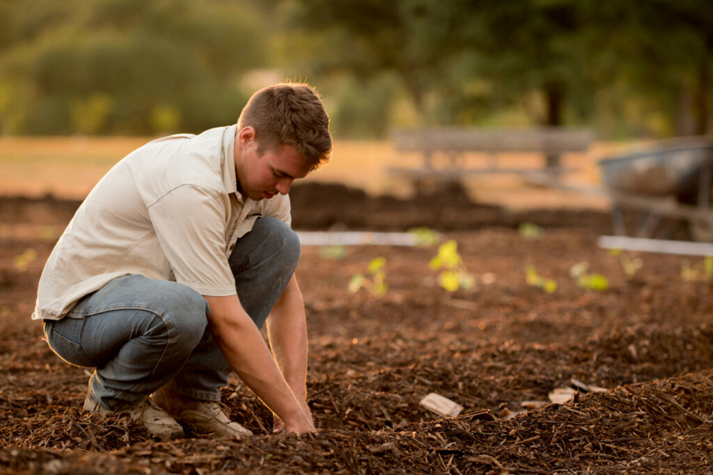 Spring Gardening in Utah: How to Prepare Soil for a Successful Growing Season