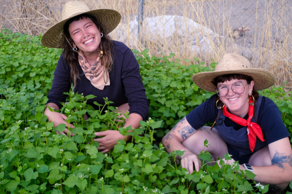 Future Craft Farm Launches First CSA Season in Salt Lake City